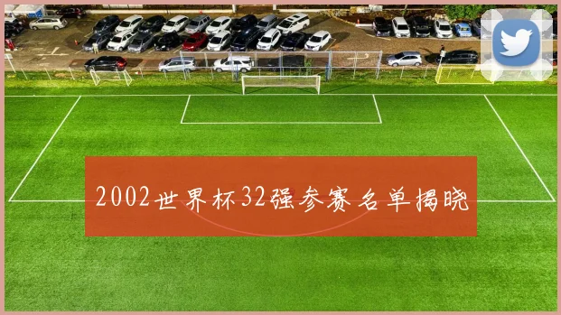 2002世界杯32强参赛名单揭晓