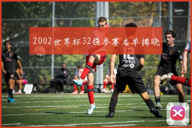 2002世界杯32强参赛名单揭晓